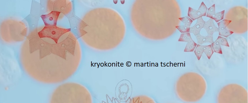kryokonite
